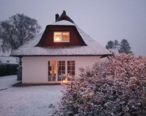 ...steigern die Freude auf Weihnachten